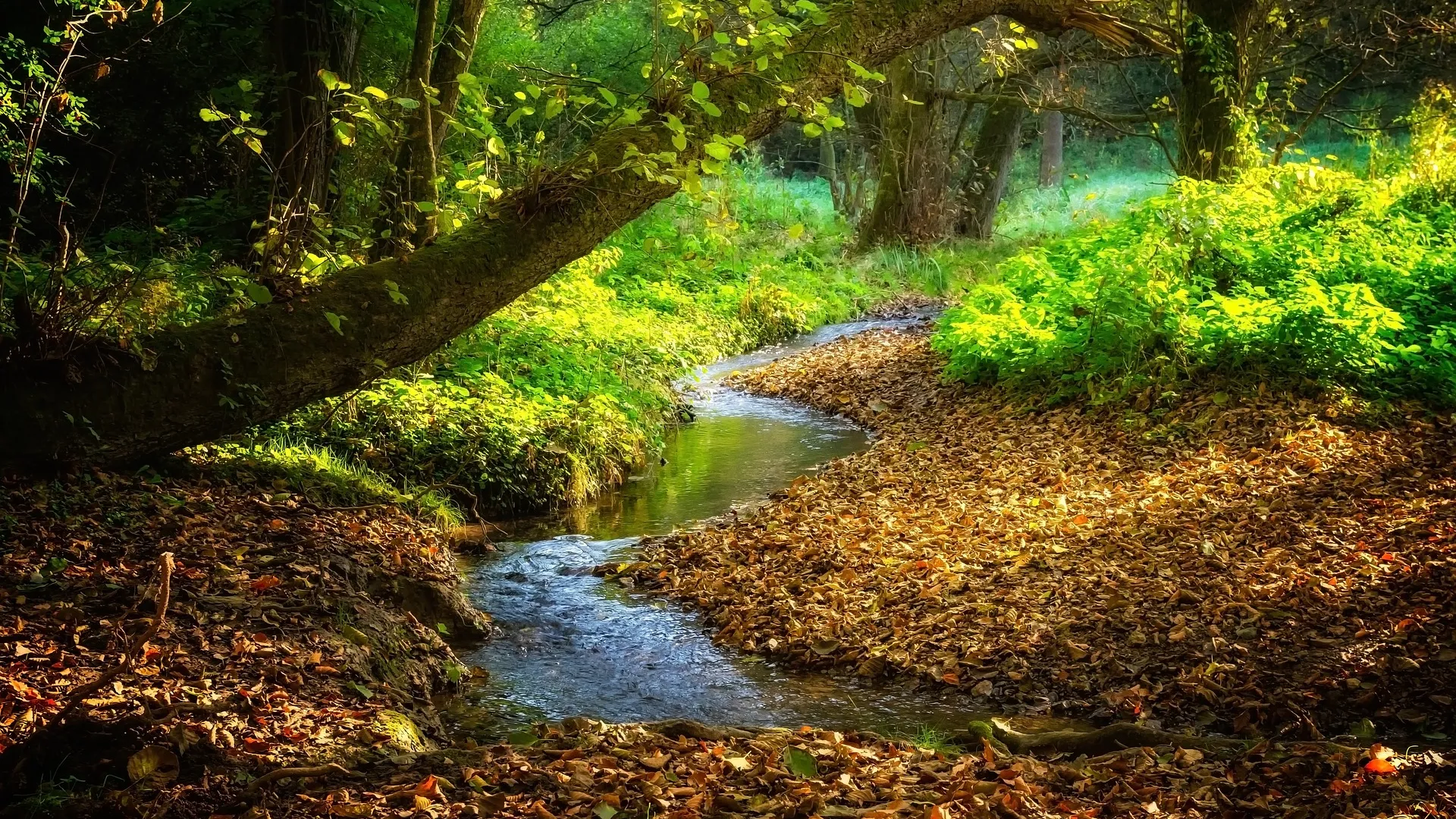 Rubrik_Wasser_-_pixabay_Peter_H-_landscape-3809181_1920